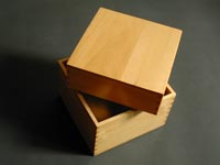 Fitted Lid Box 4
